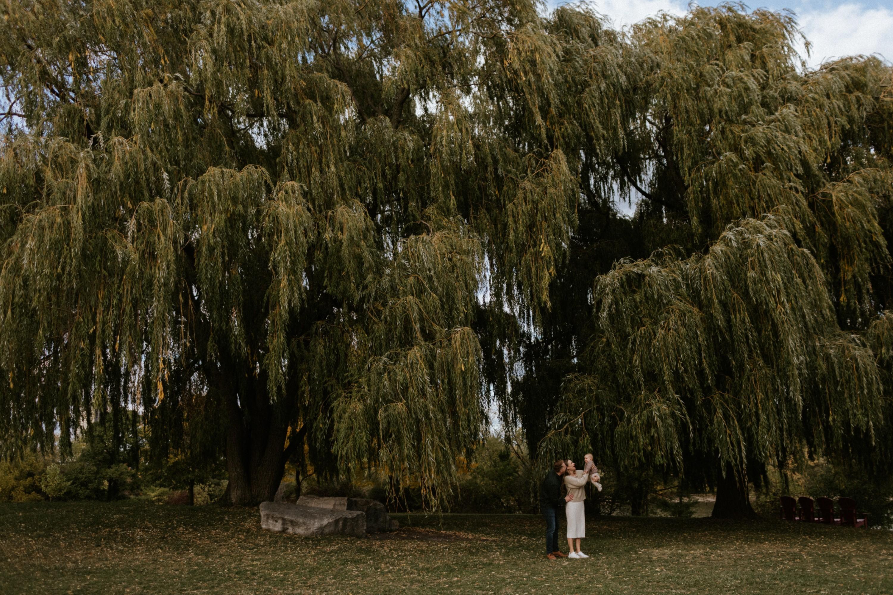 5 Tips for a Great Family Photo Session with Kids